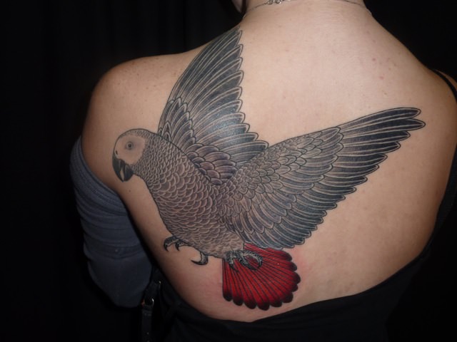 32+ Bird Tattoo Designs | Tattoo Designs | DesignTrends