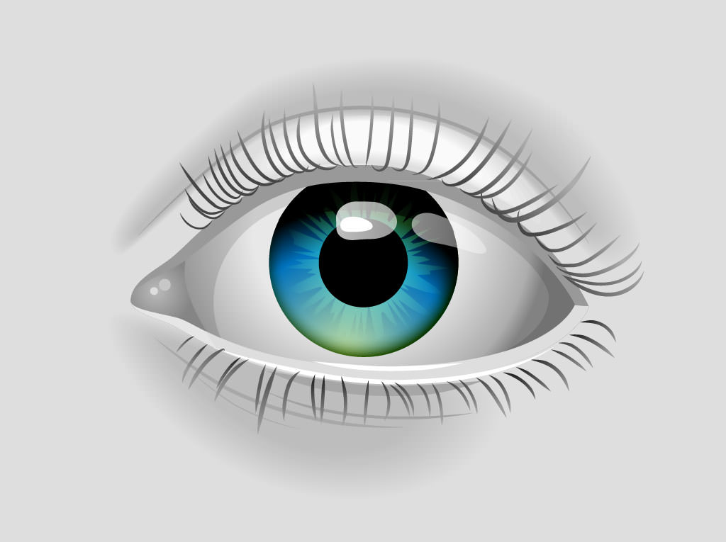 free eye clip art graphics - photo #36