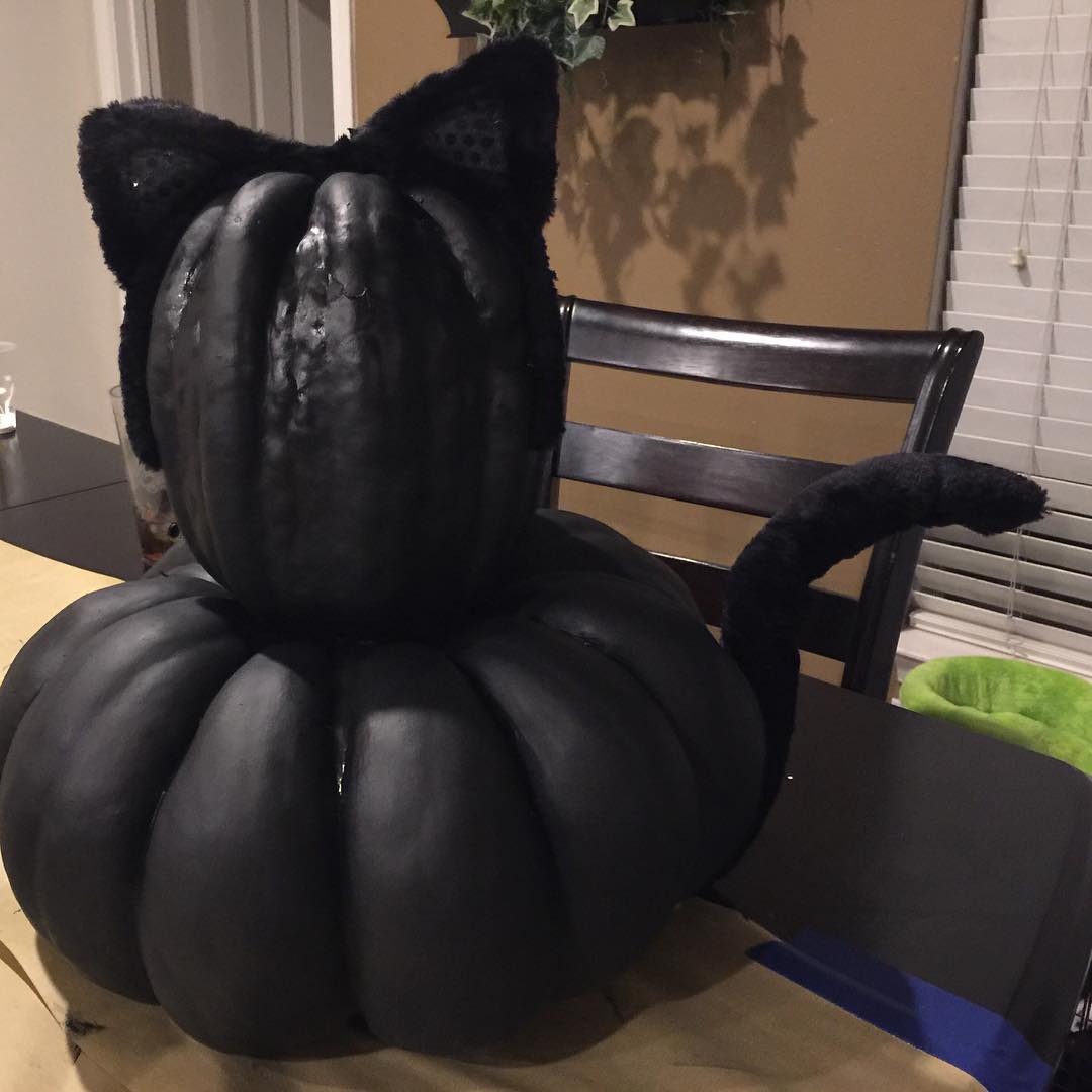 pure black cat silhouette pumpkin carving