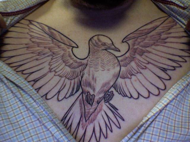 big dove tattoo on chest