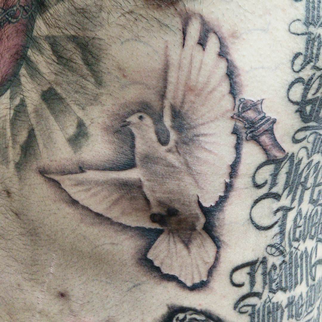 cool white dove tattoo design