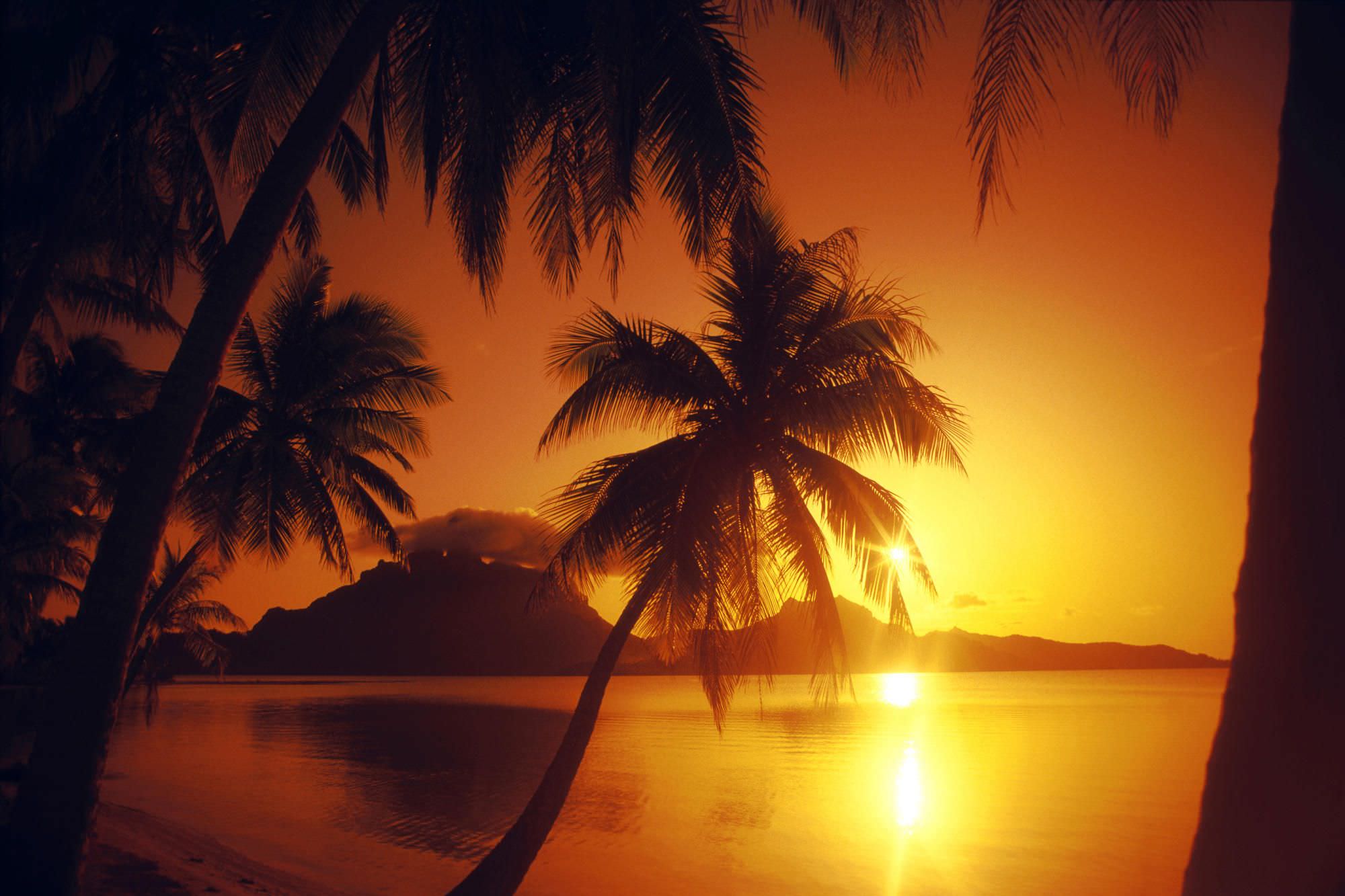 beautifuln beach sunset hd wallpaper