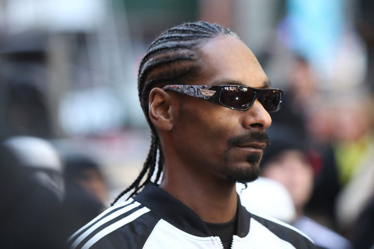 snoop dogg braided hairstyle for black men