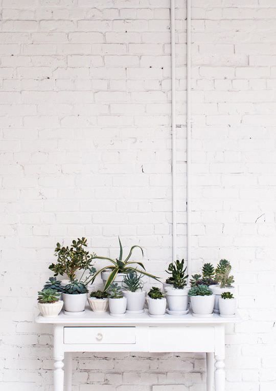 white brick wall design with flower pots