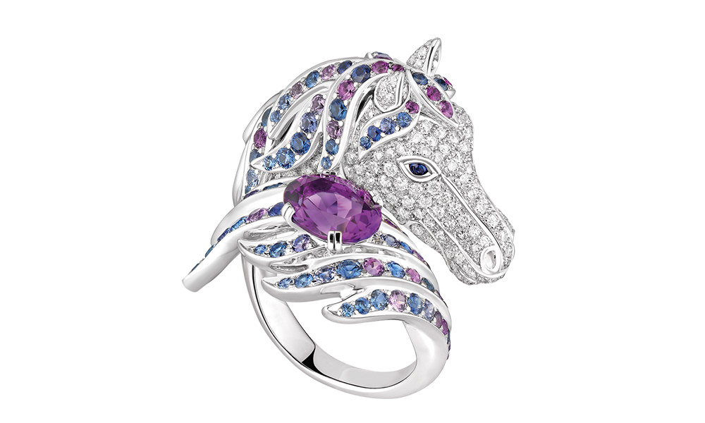 horse ring