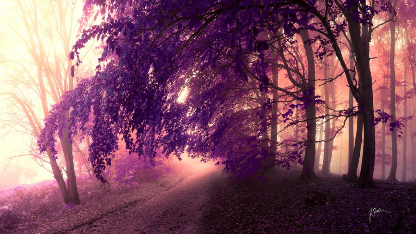 210+ Amazing Purple Backgrounds | Backgrounds | Design Trends