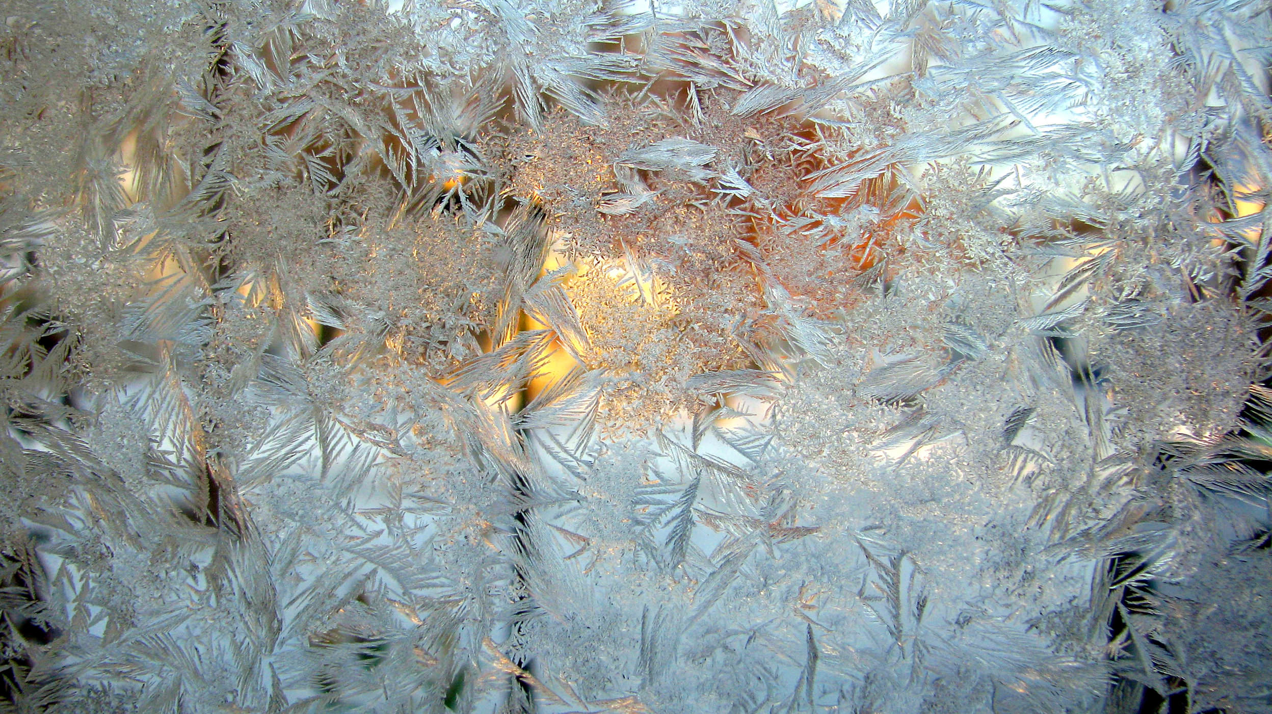 frosty home window texture