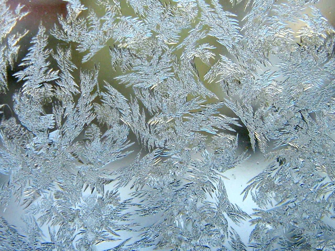 frosty window texture