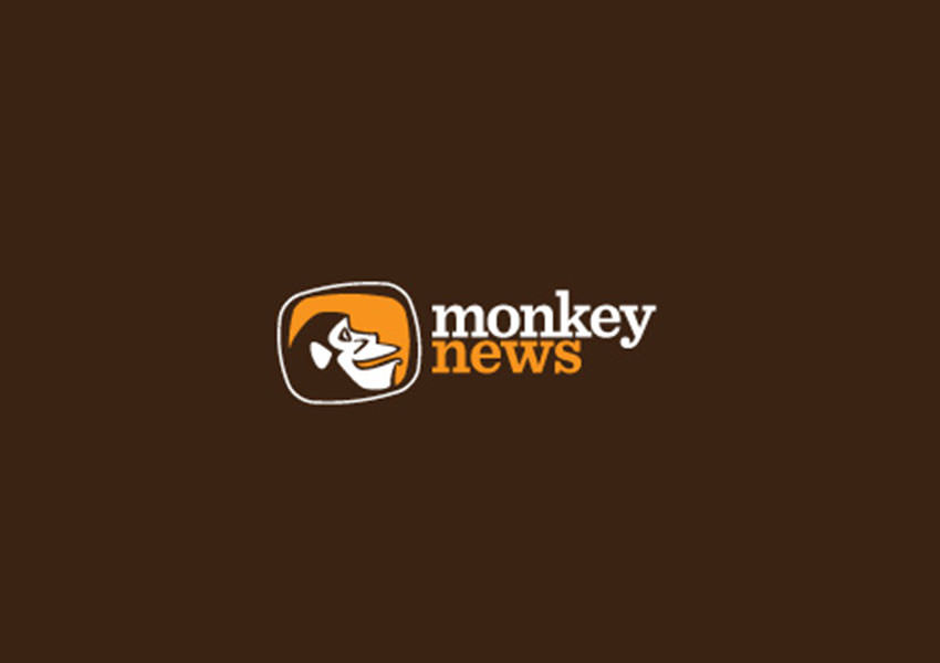 monkey logo designs3