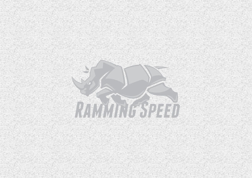 rhino logo designs30