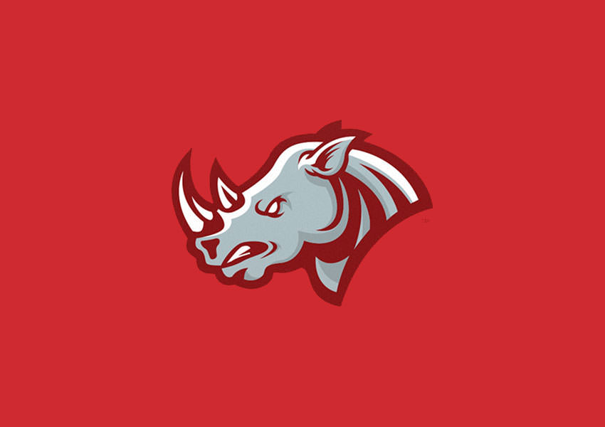 rhino logo designs34