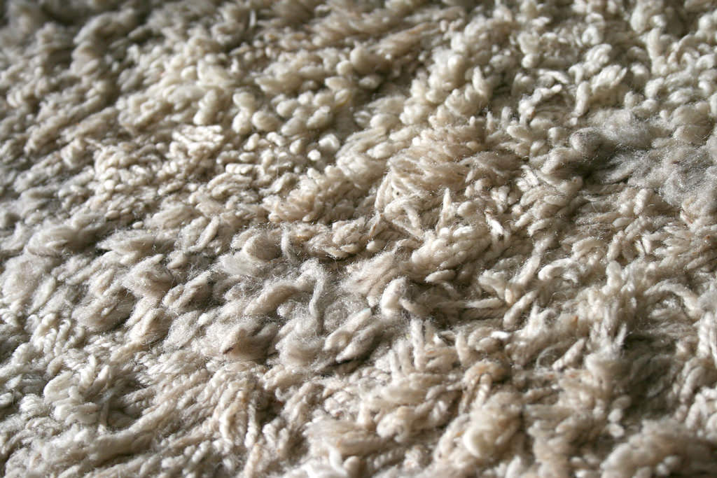 carpet textures25