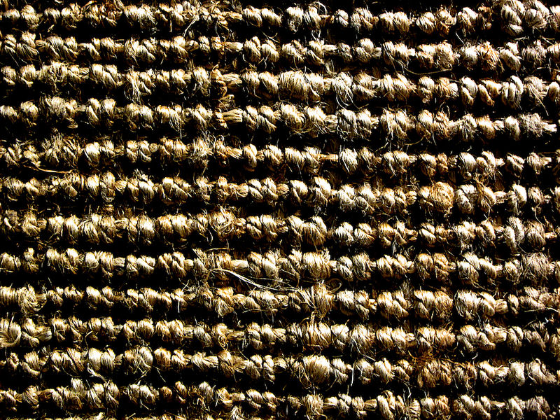 carpet textures26