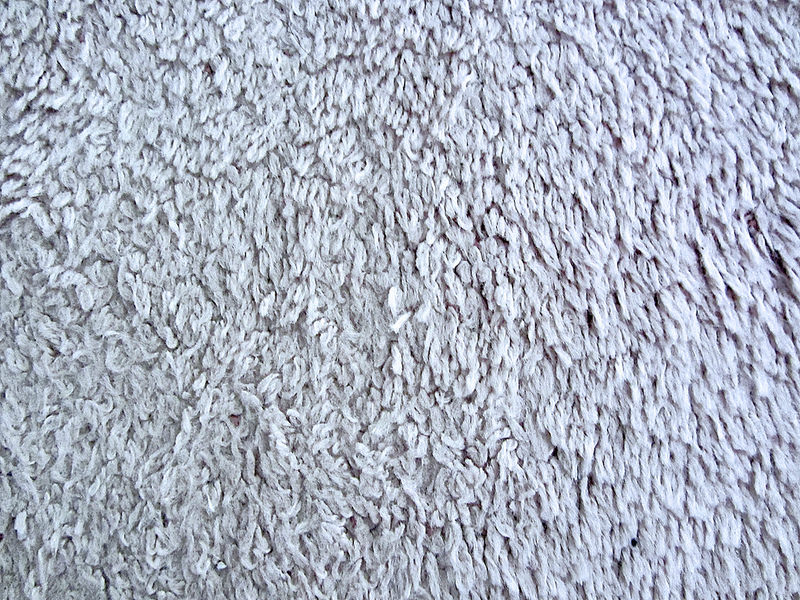 carpet textures29