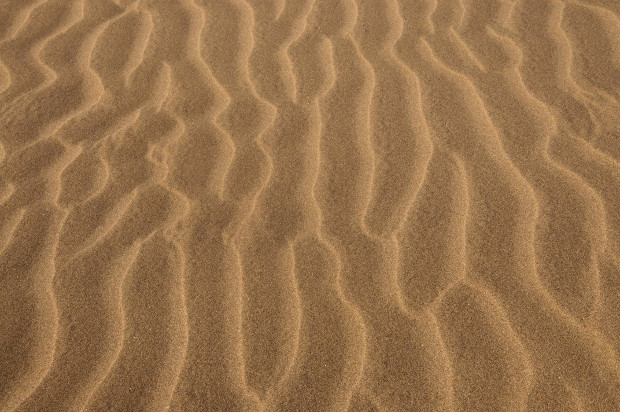 desert sand dune texture