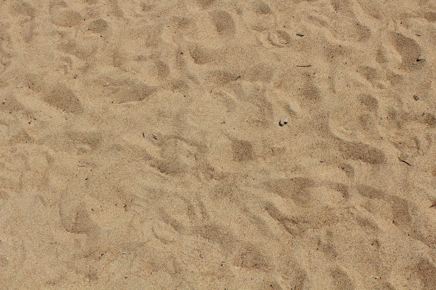 dry beach sand texture