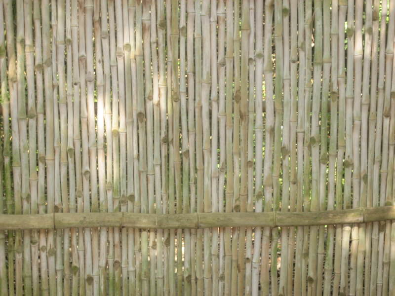 bamboo fence texture