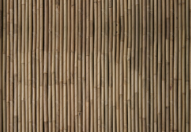 green bamboo wall texture