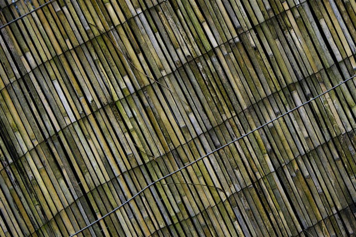 cool long bamboo texture
