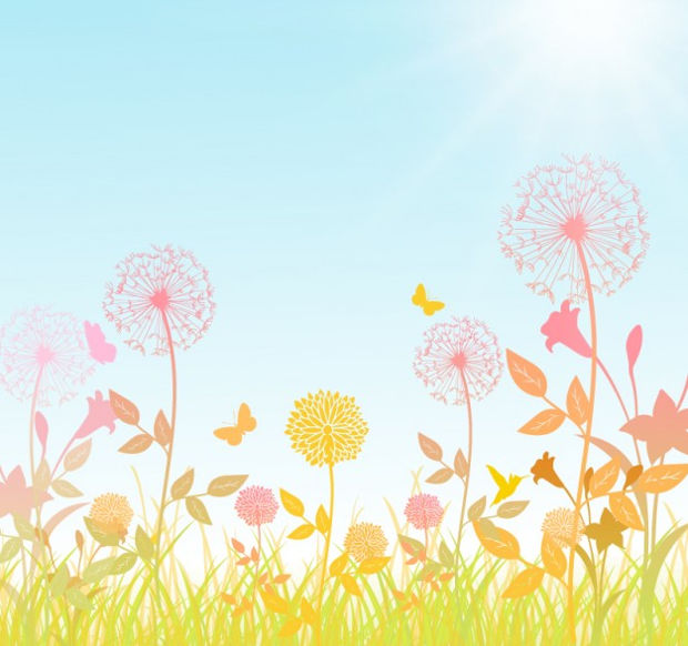 spring blossoms vector1