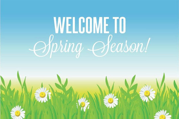 beautiful spring season vector