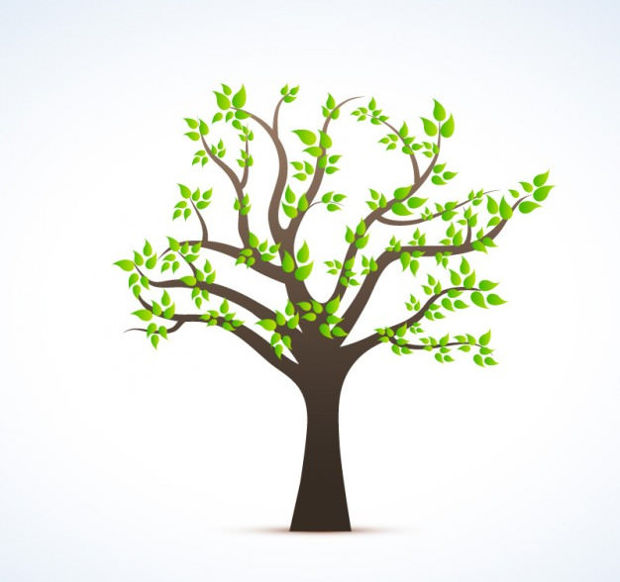tree with green leaves vector