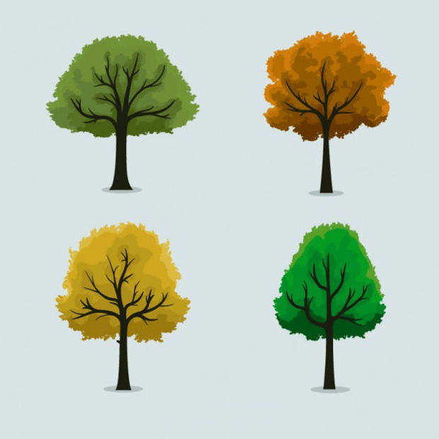 seasonal trees vector