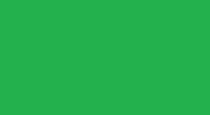 solid green background2
