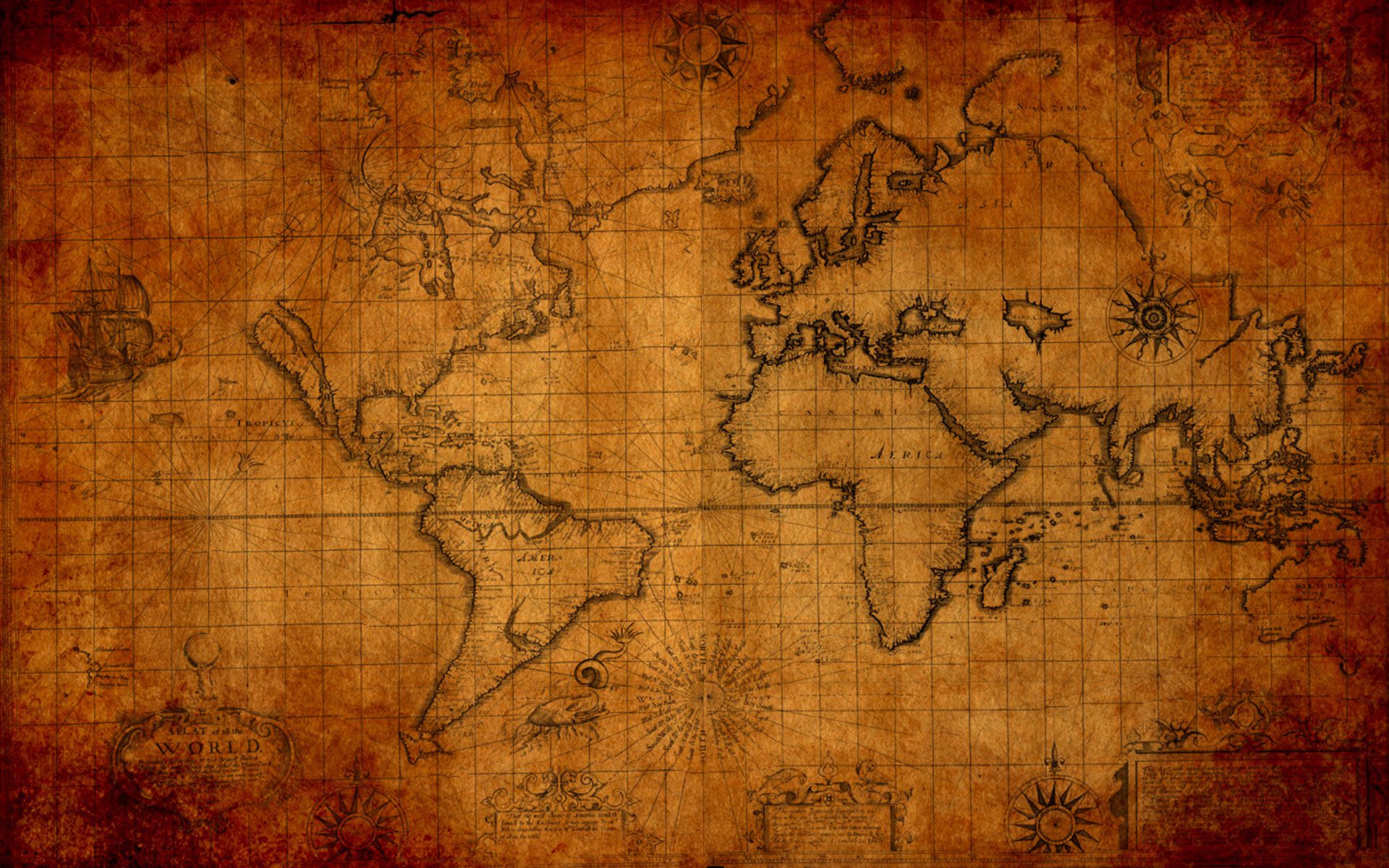 world map vectors28