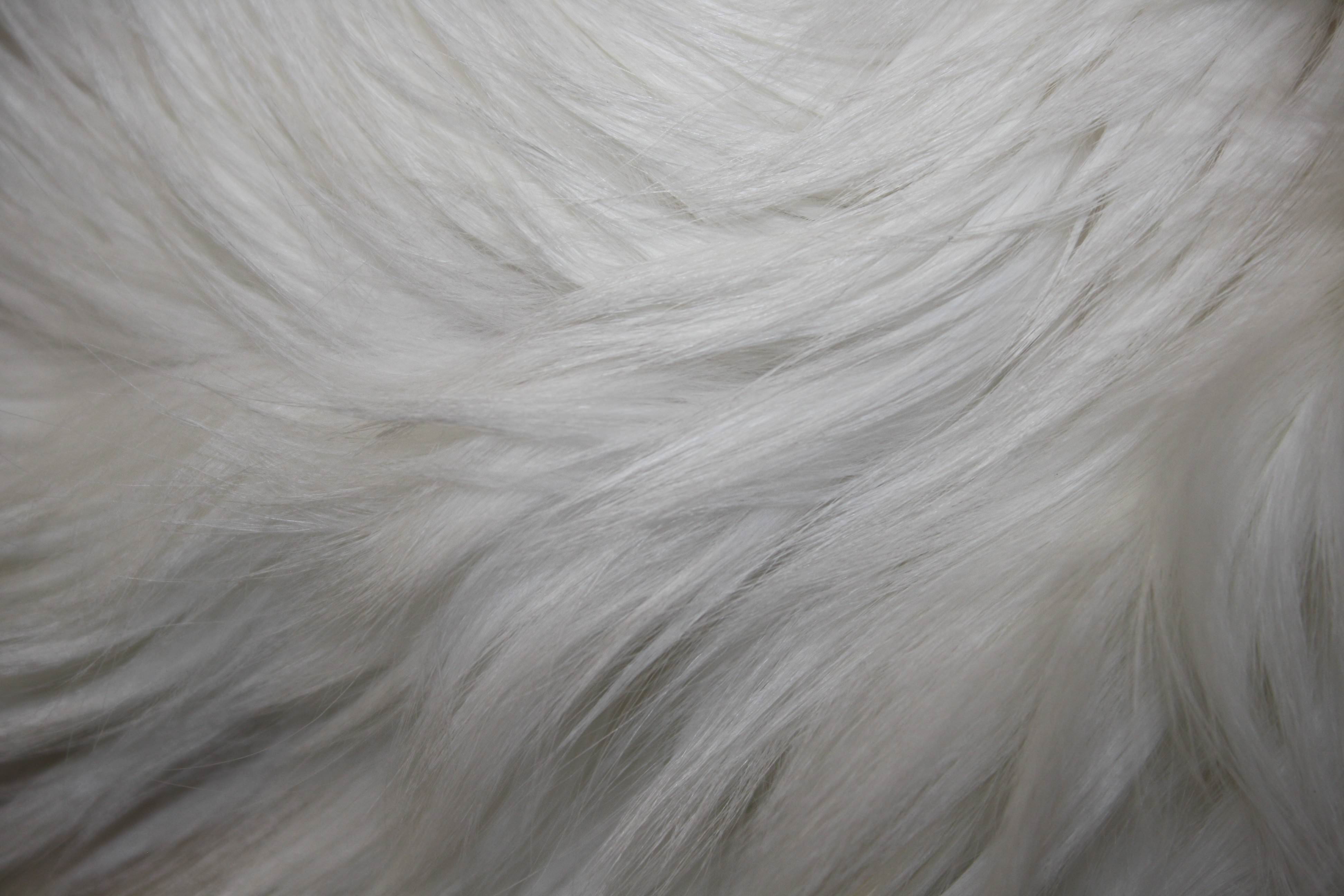 white fur texture