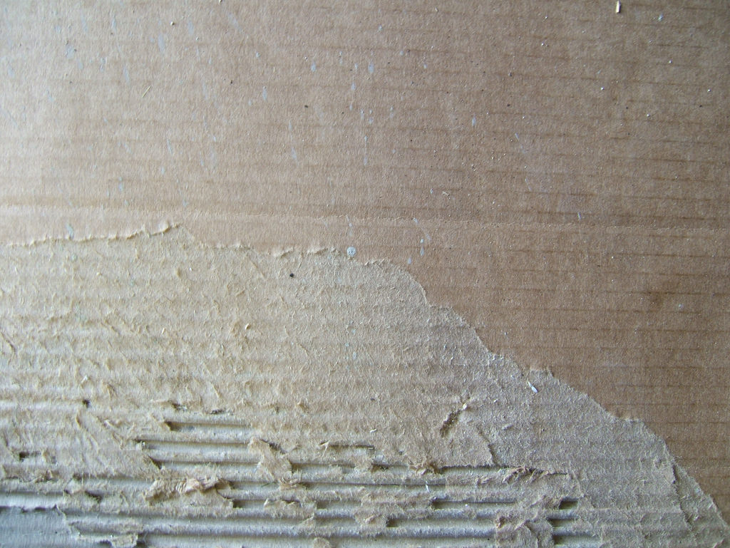 torn cardboard textures
