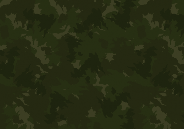 green camouflage background