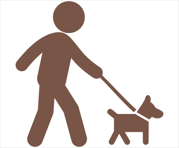 walking with dog icon