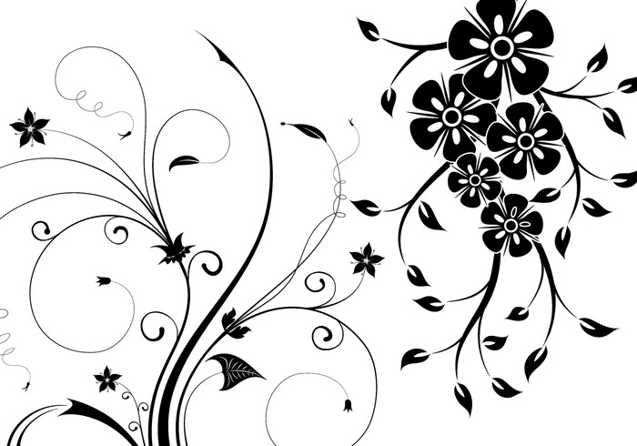 floral swirls brushes