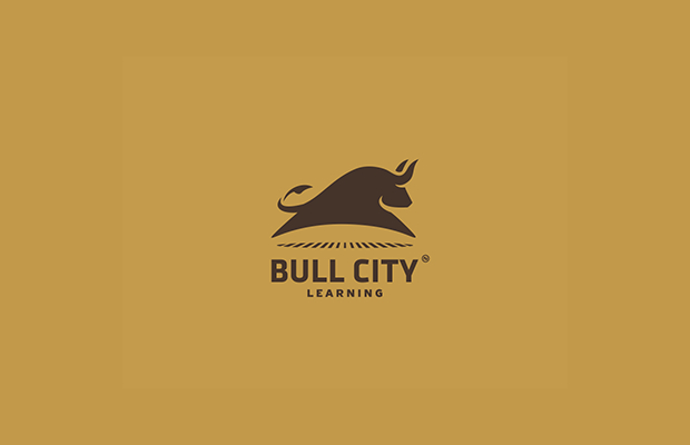 bull city logo