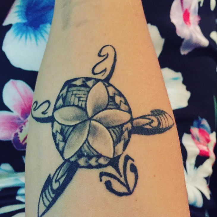cute tribal turtle tattoo design