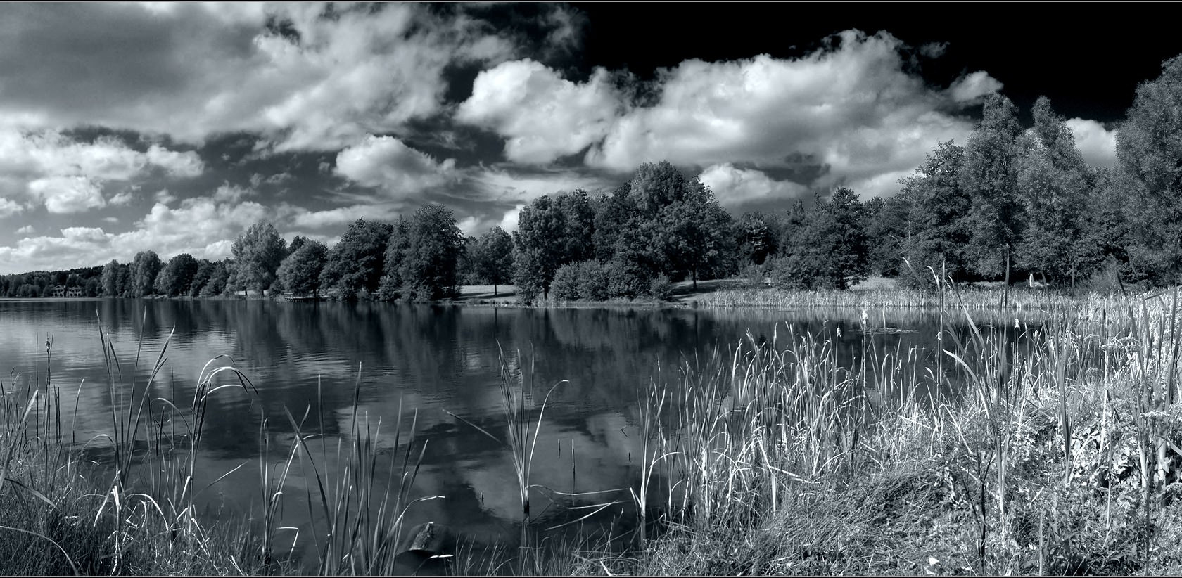 black and white landscape background1