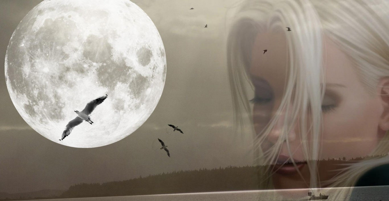 moon dreamer background