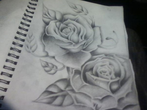 pretty rose drawing artwork1