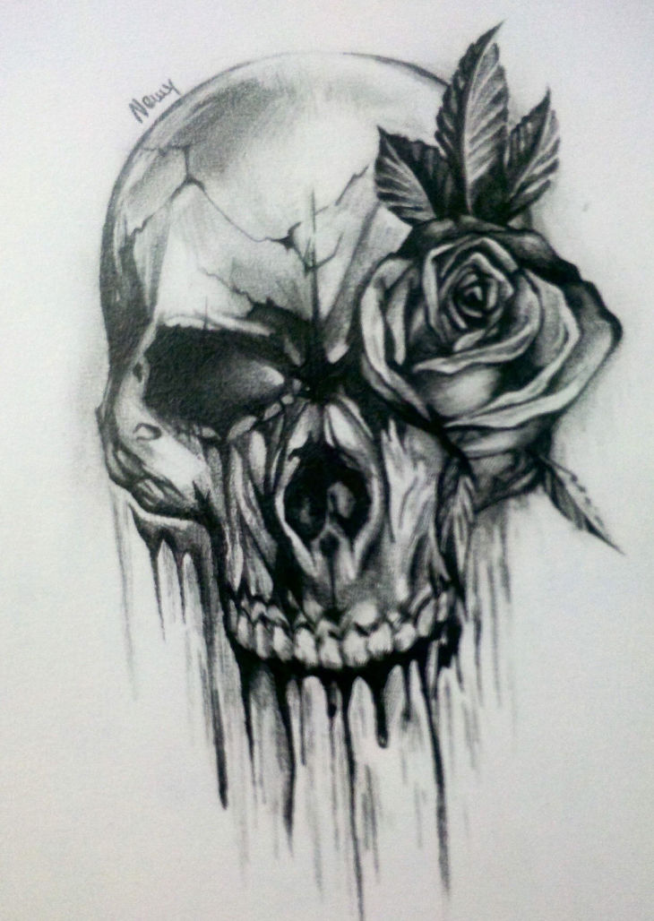 skull and rose drawing
