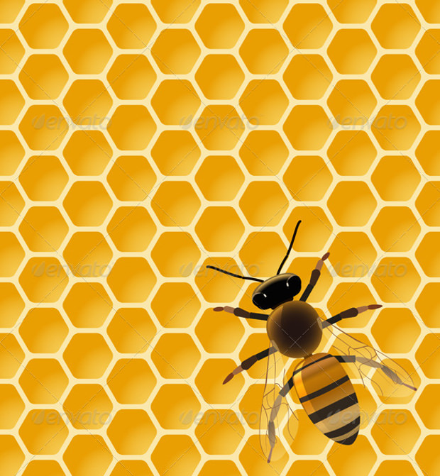 bee honeycomb pattern