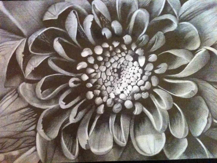 sunflower drawing ideas
