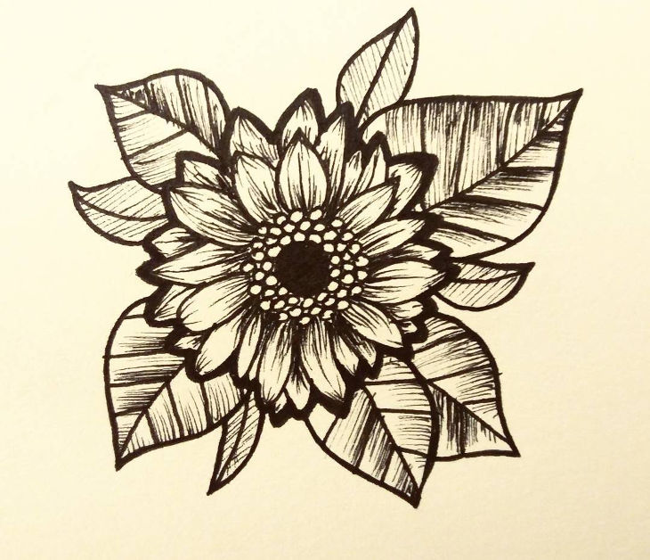 21 Flower Drawings Art Ideas Sketches Design Trends - Premium PSD 