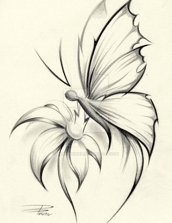 butterfly on flower drawing