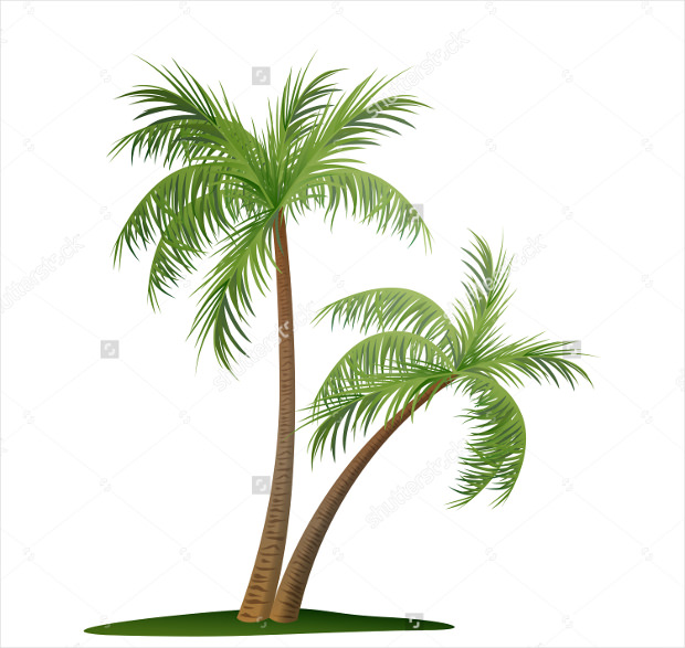 two palm trees vector download