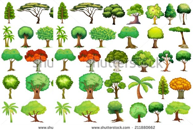 different kind of tree vectors download