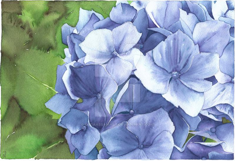 blue hydrangea painting