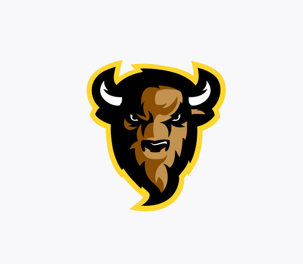 amesome sports bull logo
