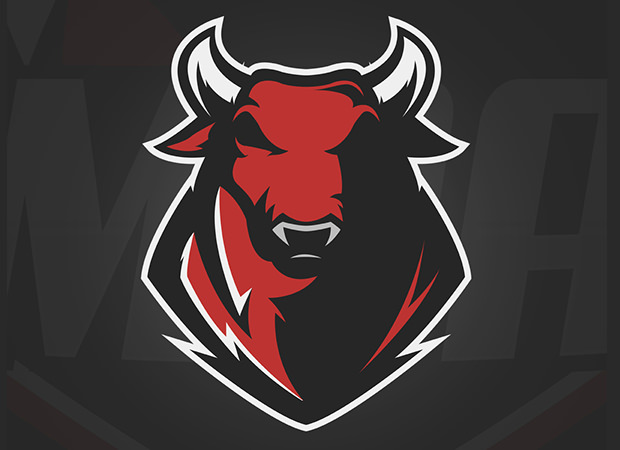pack of sports bull logo design