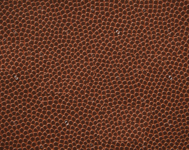 flat american football leather texture